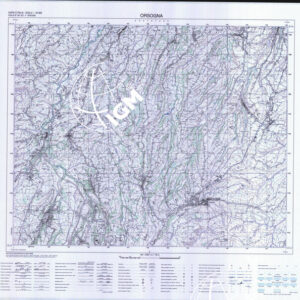 361 II (Orsogna) Anno: 1999