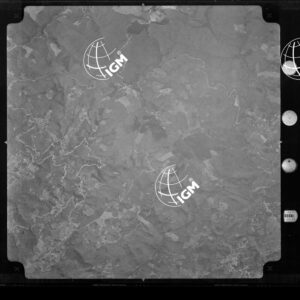 105-1965-LIX-3659