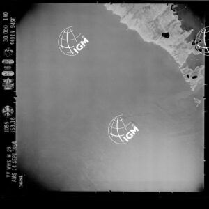 95-1954-56-3684
