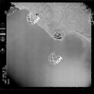 96-1954-56-3687