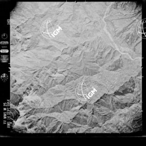 96-1954-56-3694