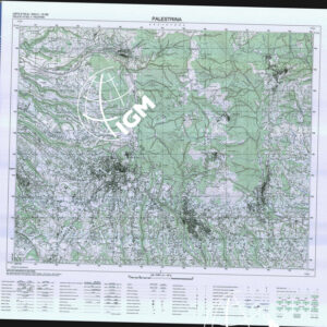 375 II (Palestrina) Anno: 2005