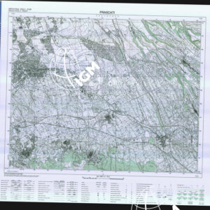 375 III (Frascati) Anno: 2005