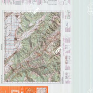 377 (TRASACCO) Anno: 2000