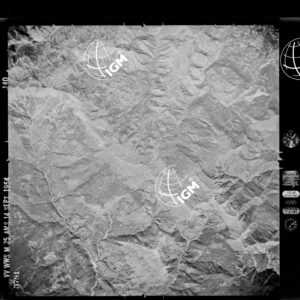 97-1954-54-3781