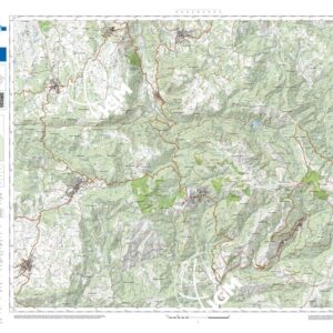 37 11 (Tonara) Anno: 2022