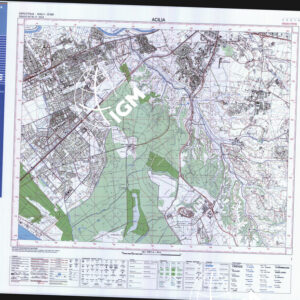 387 IV (Acilia) Anno: 2001