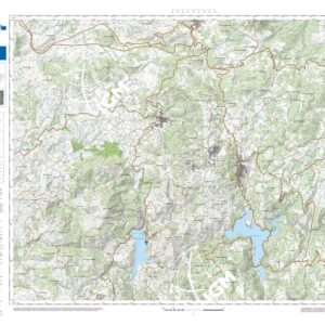 38 11 (Olzai) Anno: 2022