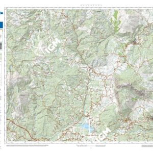 38 43 (Latronico) Anno: 2022