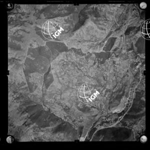 106-1963-XXIV-390