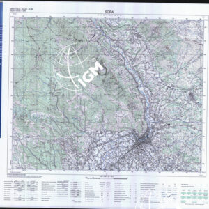 390 I (Sora) Anno: 2000