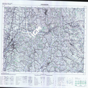 390 III (Frosinone) Anno: 2000