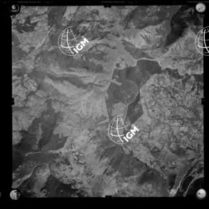 106-1963-XXIV-391
