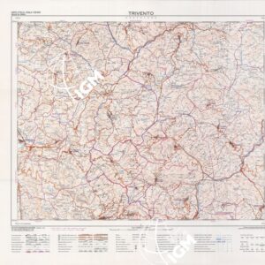 393 (TRIVENTO) Anno: 1988