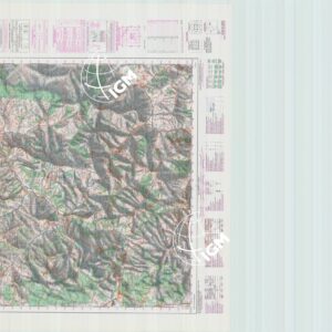 393 (TRIVENTO) Anno: 1988