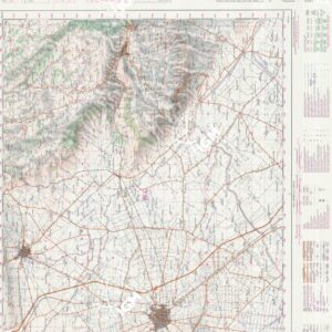 396 (SAN SEVERO) Anno: 1983