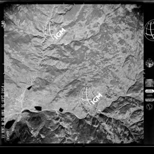 10-1954-11D-3989