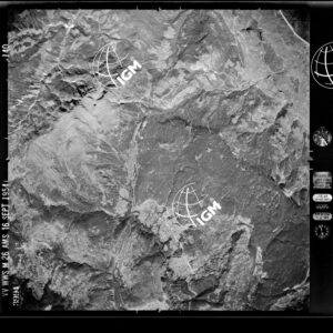 10-1954-11D-3994