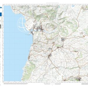 39 08 (Suni) Anno: 2022