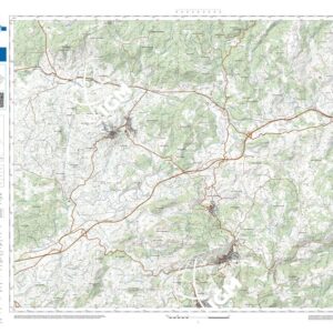 39 11 (Oniferi) Anno: 2022