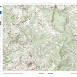 39 40 (Vallo della Lucania) Anno: 2022