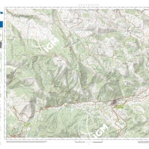 39 41 (Sanza) Anno: 2022