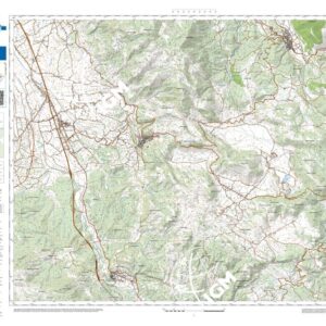 39 42 (Montesano sulla Marcellana) Anno: 2022