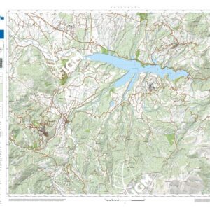 39 43 (Grumento Nova) Anno: 2022