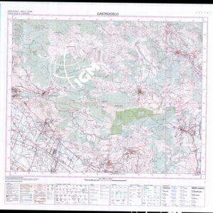 403 IV (Castrocielo) Anno: 2007