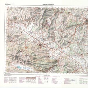 405 (CAMPOBASSO) Anno: 1989