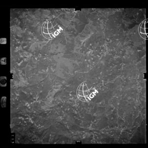 85-1982-XIB-413