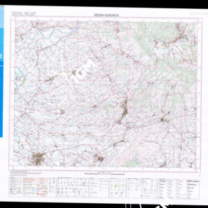 416 II (Sessa Aurunca) Anno: 2007