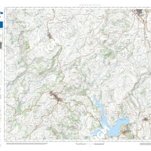 41 08 (Monteleone Rocca Doria) Anno: 2022