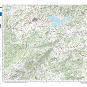 41 11 (Pattada) Anno: 2022