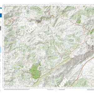 41 13 (Lodè) Anno: 2022