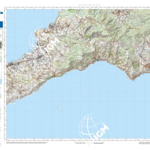 41 36 (Sorrento) Anno: 2022