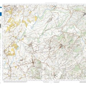 41 39 (Controne) Anno: 2022