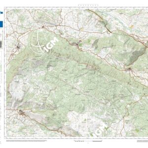 41 40 (Petina) Anno: 2022