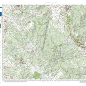 41 42 (Abriola) Anno: 2022