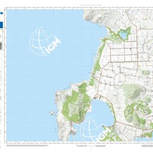 42 06 (Tramariglio) Anno: 2022