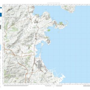 43 14 (Capo Coda Cavallo) Anno: 2022