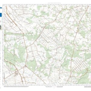 43 48 (S. BASILIO) Anno: 2022