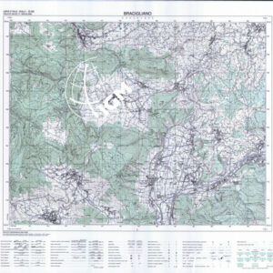 449 III (Bracigliano) Anno: 1996