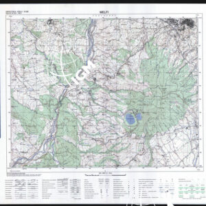 451 I (Melfi) Anno: 1995