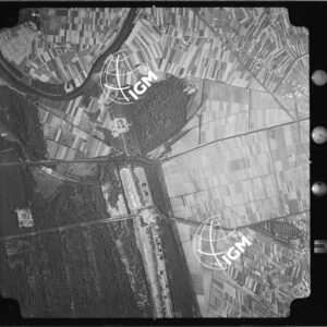 104-1965-XII-4542