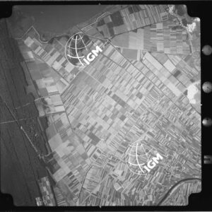 104-1965-XII-4546