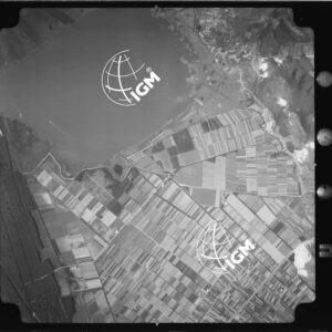 104-1965-XII-4547