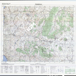 458 I (Palmadula) Anno: 1995