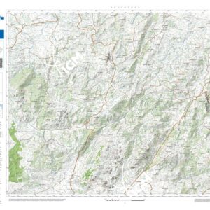 45 11 (Aglientu) Anno: 2022