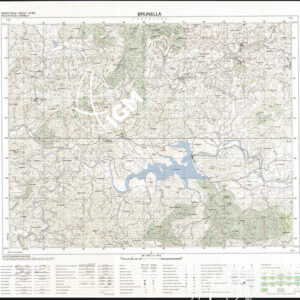 462 II (Brunella) Anno: 1994